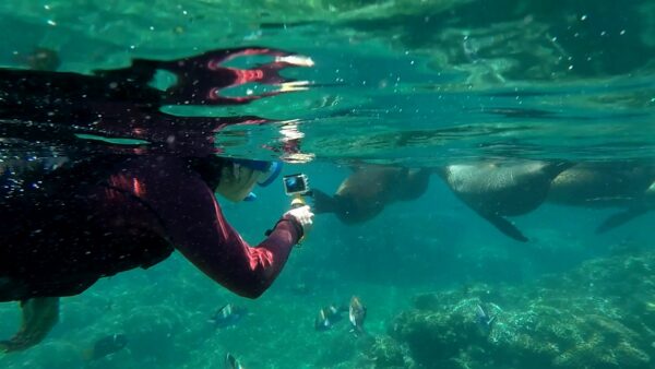 GOPR2745_Trim_Moment(4)